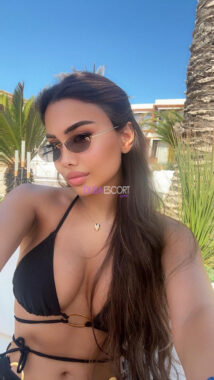 019aba69 b8ac 4c3b 9237 4be657176577 214x380